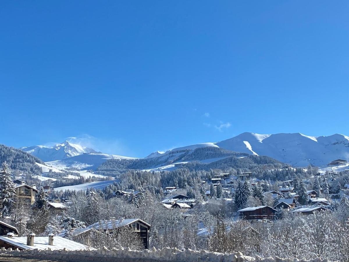 Chaleureux Appartement Renove Ambiance Chalet Praz-sur-Arly Exterior photo