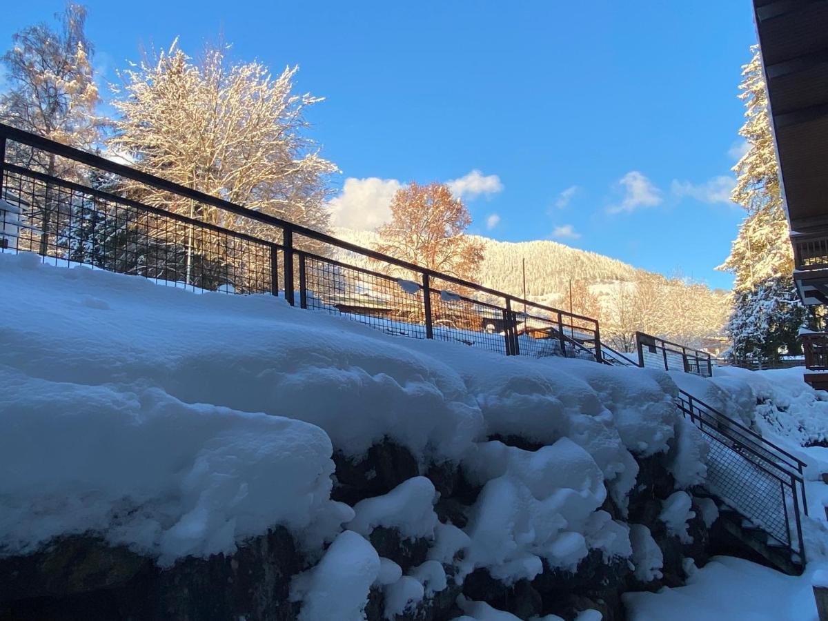Chaleureux Appartement Renove Ambiance Chalet Praz-sur-Arly Exterior photo